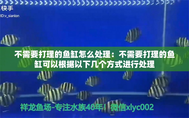 不需要打理的鱼缸怎么处理：不需要打理的鱼缸可以根据以下几个方式进行处理 鱼缸百科 第2张