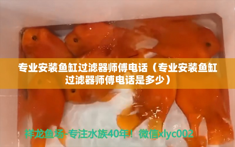 专业安装鱼缸过滤器师傅电话（专业安装鱼缸过滤器师傅电话是多少）