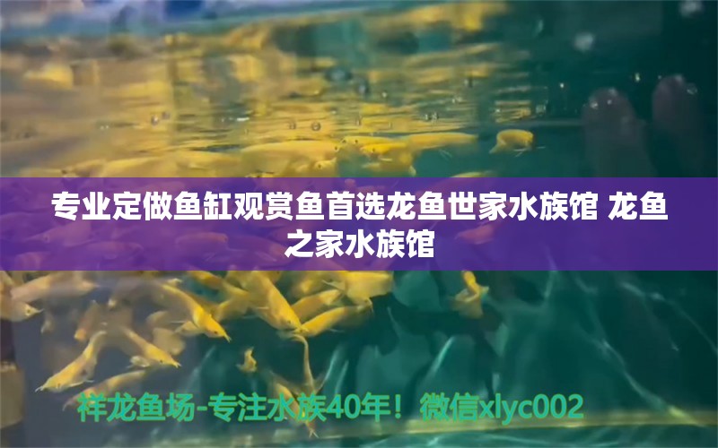 专业定做鱼缸观赏鱼首选龙鱼世家水族馆 龙鱼之家水族馆