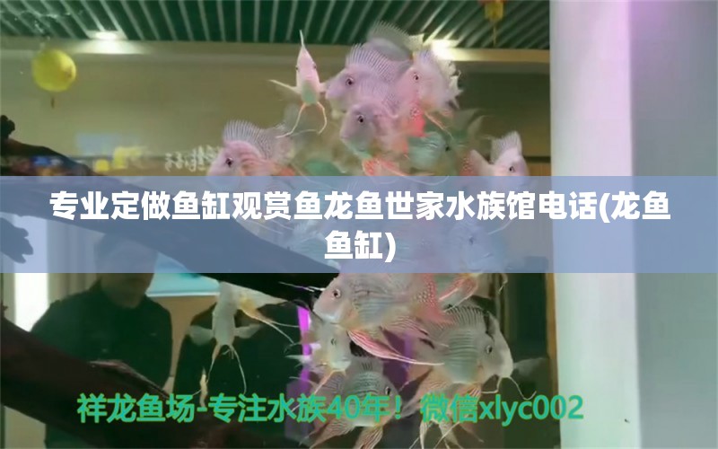 专业定做鱼缸观赏鱼龙鱼世家水族馆电话(龙鱼鱼缸) 冲氧泵 第1张