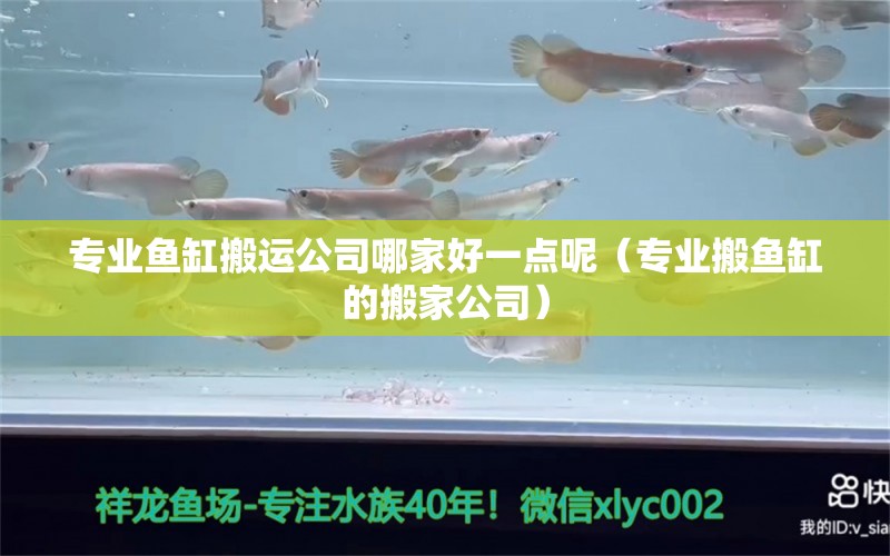 专业鱼缸搬运公司哪家好一点呢（专业搬鱼缸的搬家公司）