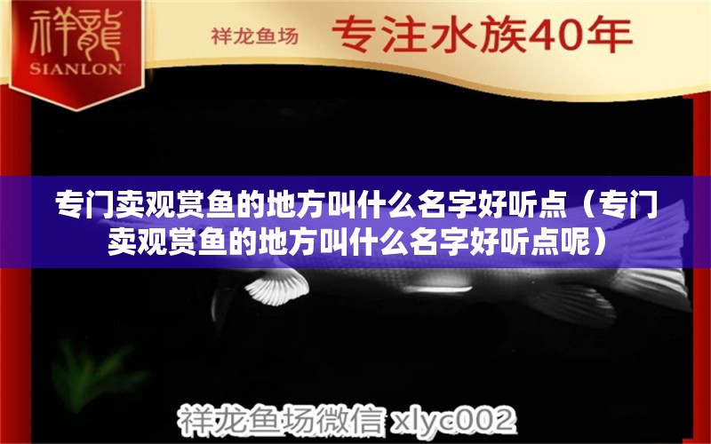 专门卖观赏鱼的地方叫什么名字好听点（专门卖观赏鱼的地方叫什么名字好听点呢） 祥龙水族医院