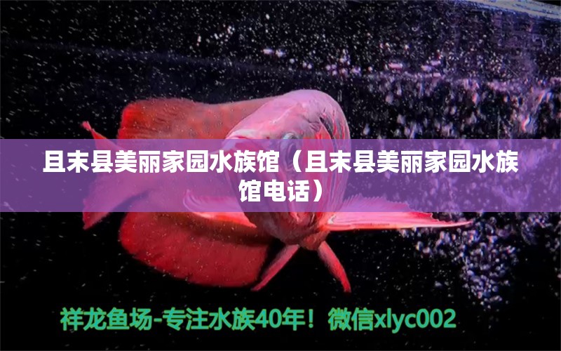 且末县美丽家园水族馆（且末县美丽家园水族馆电话） 全国水族馆企业名录