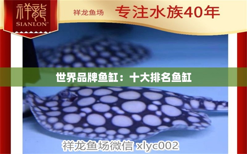 世界品牌鱼缸：十大排名鱼缸 水族维护服务（上门）