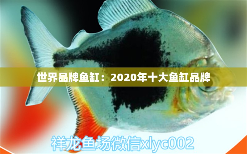 世界品牌鱼缸：2020年十大鱼缸品牌