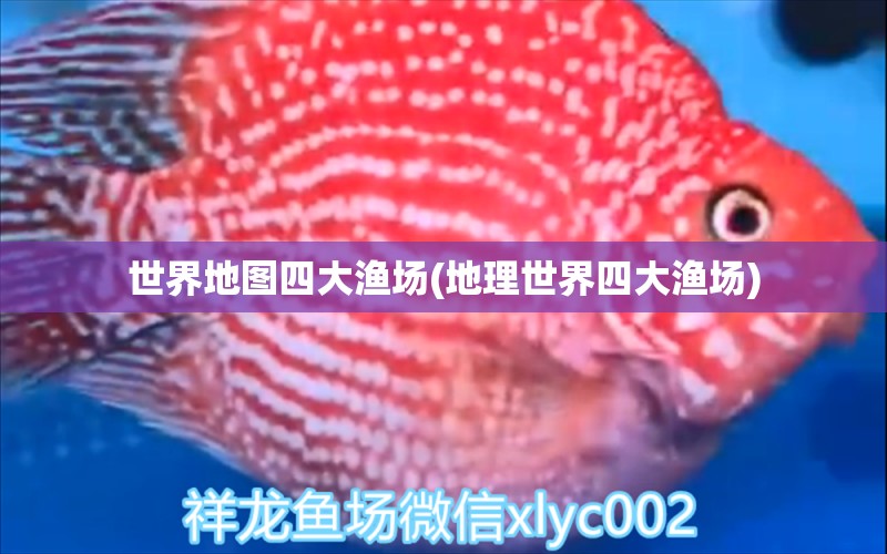 世界地图四大渔场(地理世界四大渔场) 水族杂谈