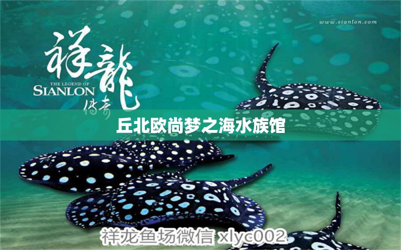 丘北欧尚梦之海水族馆