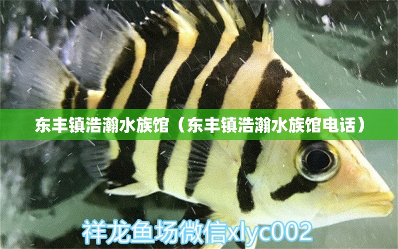 东丰镇浩瀚水族馆（东丰镇浩瀚水族馆电话） 全国水族馆企业名录