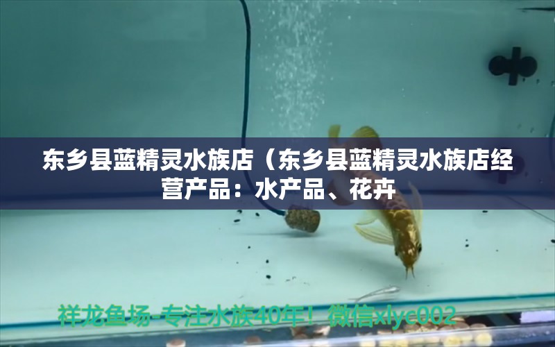 东乡县蓝精灵水族店（东乡县蓝精灵水族店经营产品：水产品、花卉