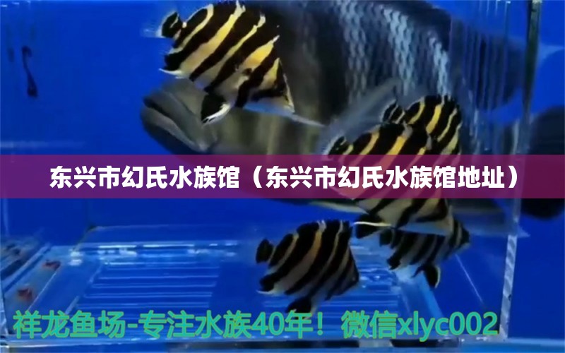 东兴市幻氏水族馆（东兴市幻氏水族馆地址）