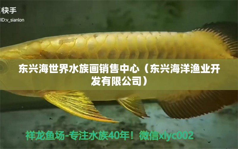 东兴海世界水族画销售中心（东兴海洋渔业开发有限公司）