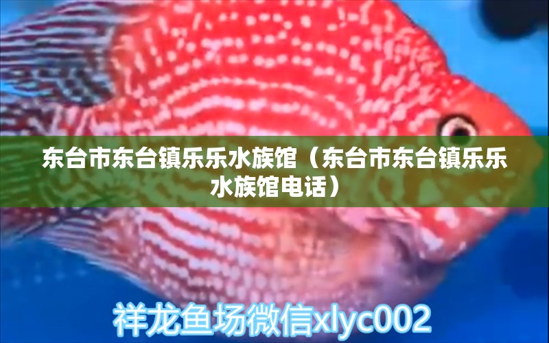 东台市东台镇乐乐水族馆（东台市东台镇乐乐水族馆电话）