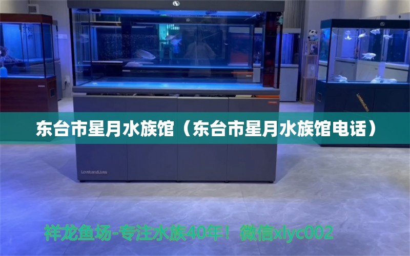 东台市星月水族馆（东台市星月水族馆电话）