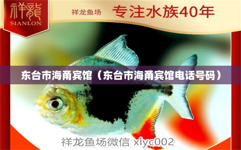 东台市海甬宾馆（东台市海甬宾馆电话号码） 全国水族馆企业名录