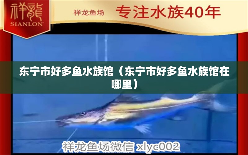 东宁市好多鱼水族馆（东宁市好多鱼水族馆在哪里）