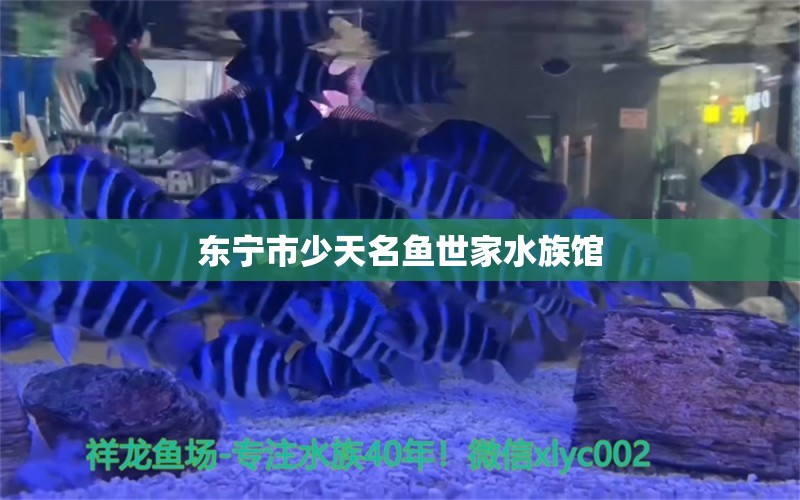 东宁市少天名鱼世家水族馆 全国水族馆企业名录