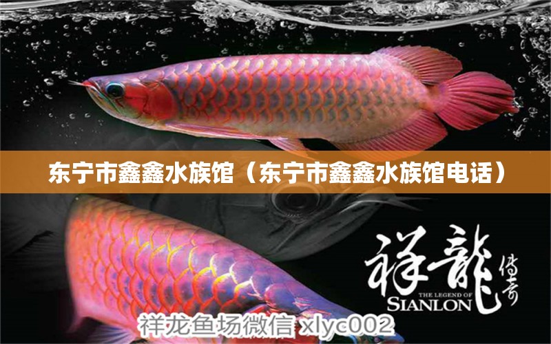 东宁市鑫鑫水族馆（东宁市鑫鑫水族馆电话） 全国水族馆企业名录