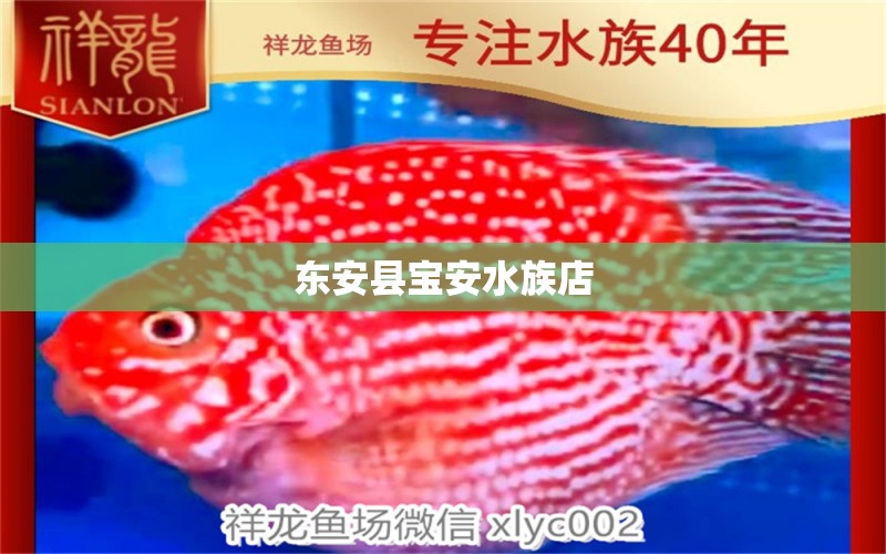 东安县宝安水族店