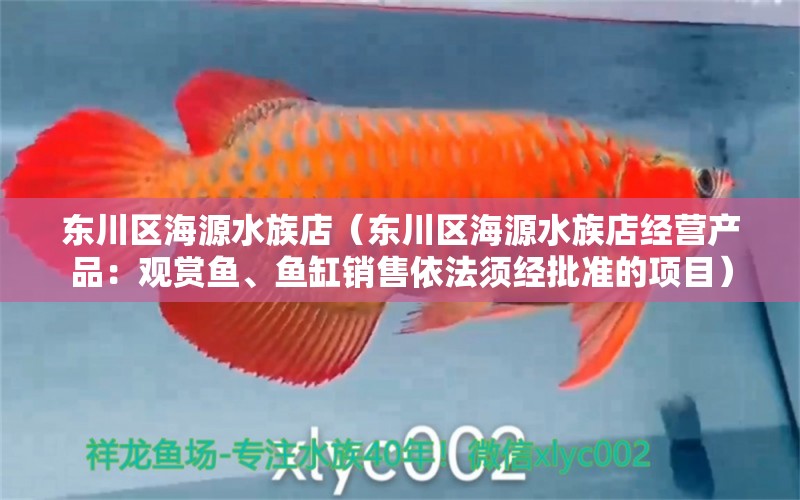 东川区海源水族店（东川区海源水族店经营产品：观赏鱼、鱼缸销售依法须经批准的项目）