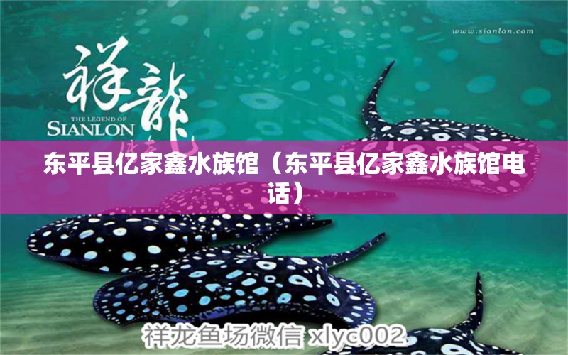 东平县亿家鑫水族馆（东平县亿家鑫水族馆电话） 全国水族馆企业名录