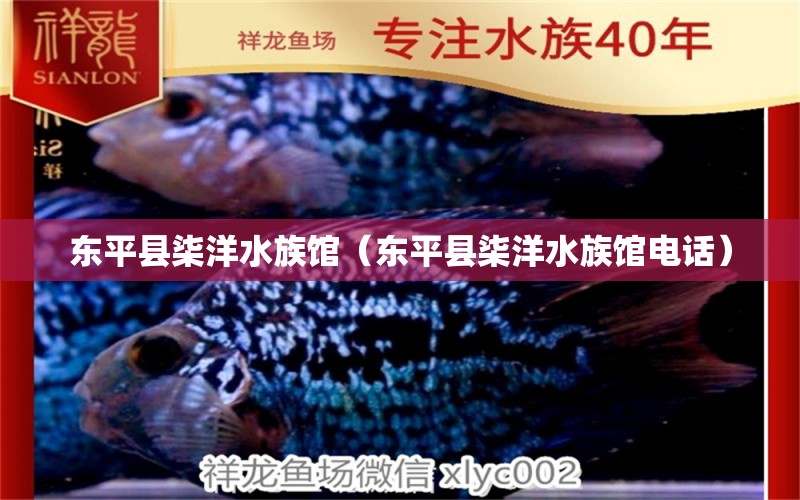 东平县柒洋水族馆（东平县柒洋水族馆电话） 全国水族馆企业名录