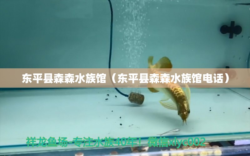 东平县森森水族馆（东平县森森水族馆电话） 全国水族馆企业名录