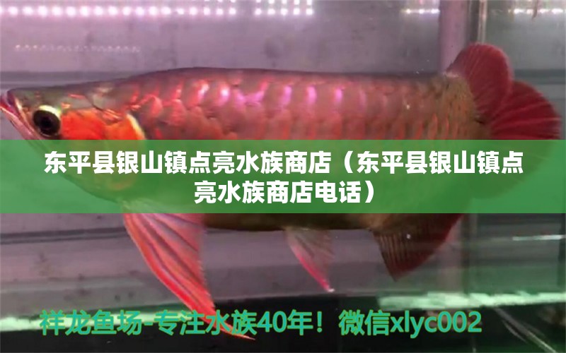 东平县银山镇点亮水族商店（东平县银山镇点亮水族商店电话）