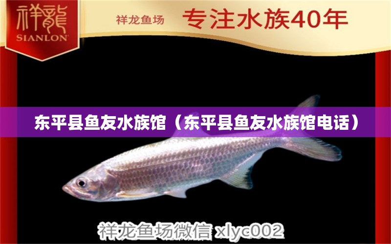 东平县鱼友水族馆（东平县鱼友水族馆电话）