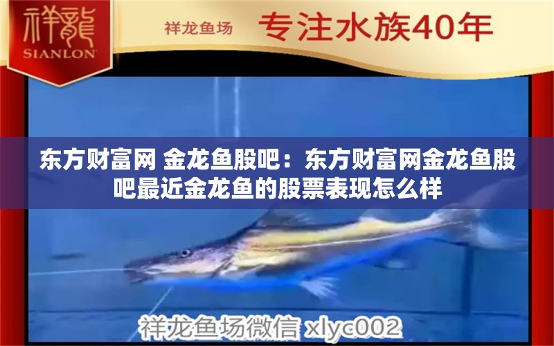 东方财富网 金龙鱼股吧：东方财富网金龙鱼股吧最近金龙鱼的股票表现怎么样 水族问答 第2张