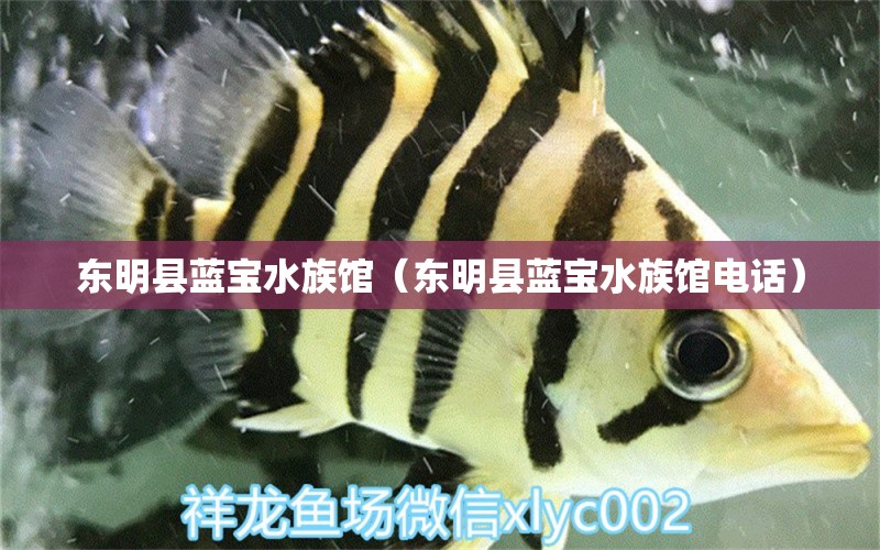 东明县蓝宝水族馆（东明县蓝宝水族馆电话） 全国水族馆企业名录