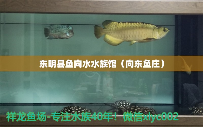 东明县鱼向水水族馆（向东鱼庄）