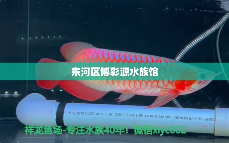 东河区博彩源水族馆 全国水族馆企业名录