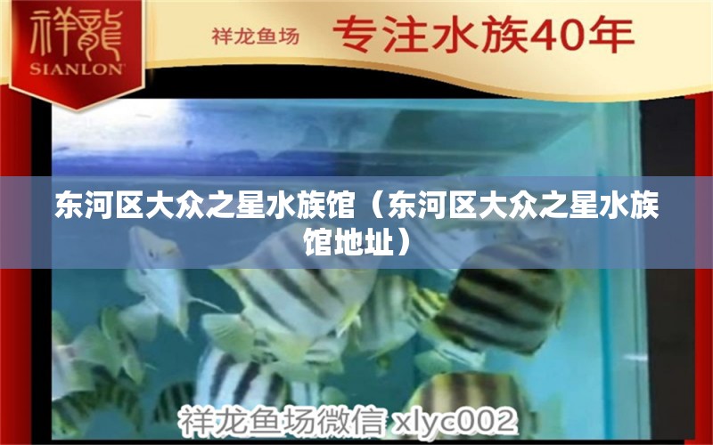 东河区大众之星水族馆（东河区大众之星水族馆地址） 全国水族馆企业名录