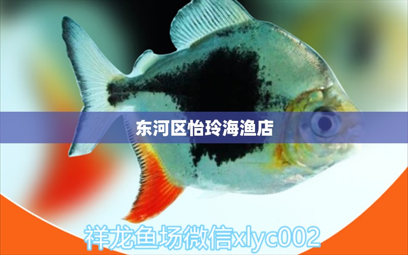 东河区怡玲海渔店 全国水族馆企业名录