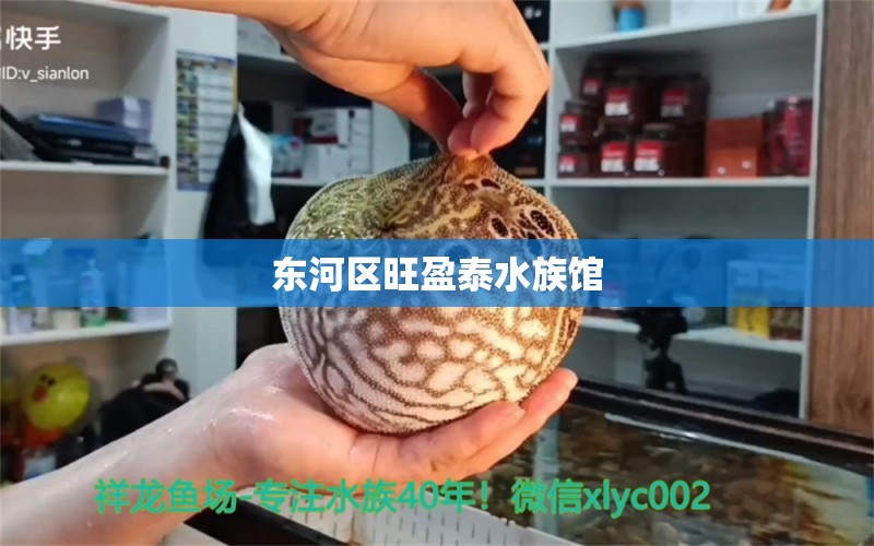 东河区旺盈泰水族馆