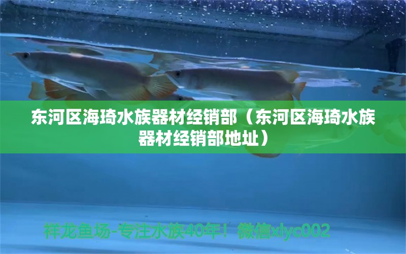 东河区海琦水族器材经销部（东河区海琦水族器材经销部地址）