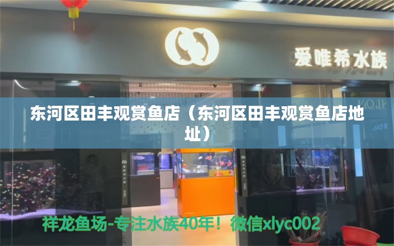 东河区田丰观赏鱼店（东河区田丰观赏鱼店地址） 全国水族馆企业名录