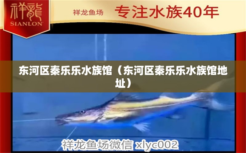 东河区秦乐乐水族馆（东河区秦乐乐水族馆地址） 全国水族馆企业名录