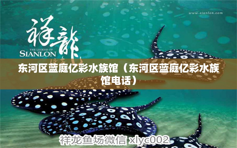 东河区蓝庭亿彩水族馆（东河区蓝庭亿彩水族馆电话） 全国水族馆企业名录