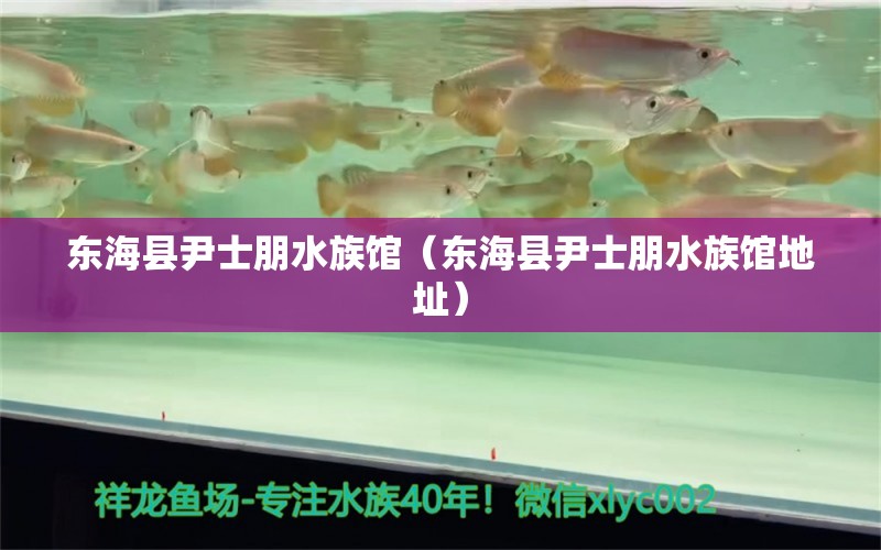 东海县尹士朋水族馆（东海县尹士朋水族馆地址）