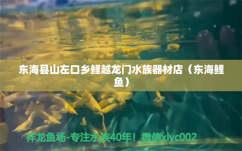 东海县山左口乡鲤越龙门水族器材店（东海鲤鱼） 全国水族馆企业名录