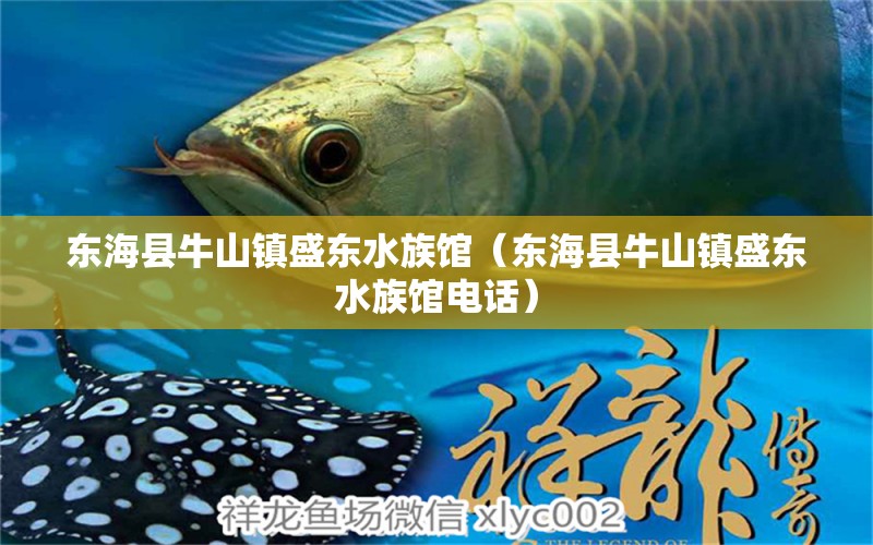 东海县牛山镇盛东水族馆（东海县牛山镇盛东水族馆电话）