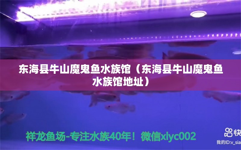 东海县牛山魔鬼鱼水族馆（东海县牛山魔鬼鱼水族馆地址）