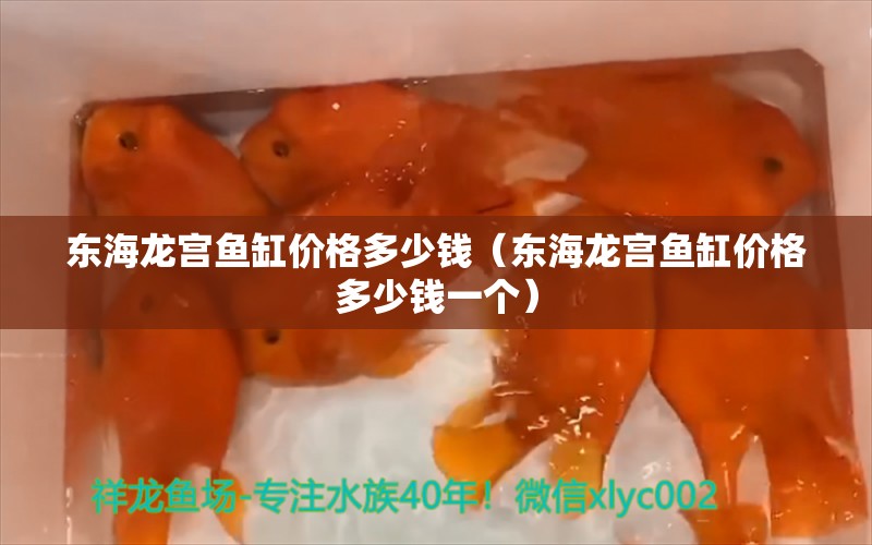 东海龙宫鱼缸价格多少钱（东海龙宫鱼缸价格多少钱一个） 祥龙水族医院