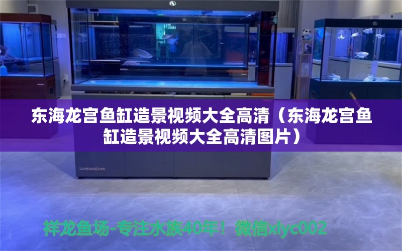 东海龙宫鱼缸造景视频大全高清（东海龙宫鱼缸造景视频大全高清图片）