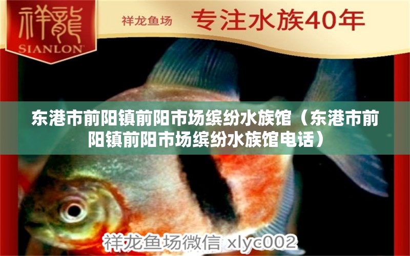 东港市前阳镇前阳市场缤纷水族馆（东港市前阳镇前阳市场缤纷水族馆电话）