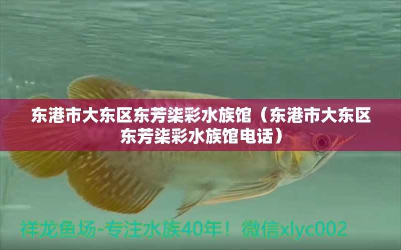 东港市大东区东芳柒彩水族馆（东港市大东区东芳柒彩水族馆电话）