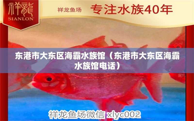 东港市大东区海霸水族馆（东港市大东区海霸水族馆电话）