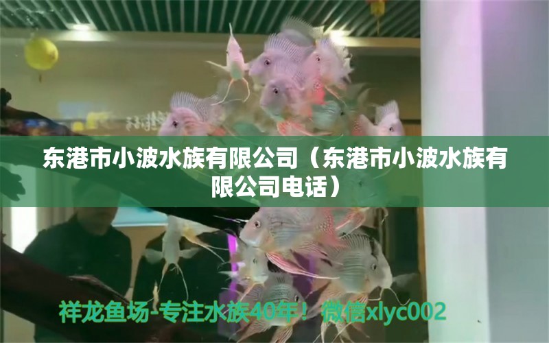 东港市小波水族有限公司（东港市小波水族有限公司电话） 全国水族馆企业名录