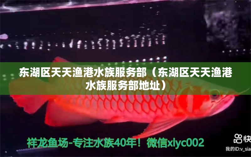 东湖区天天渔港水族服务部（东湖区天天渔港水族服务部地址） 全国水族馆企业名录